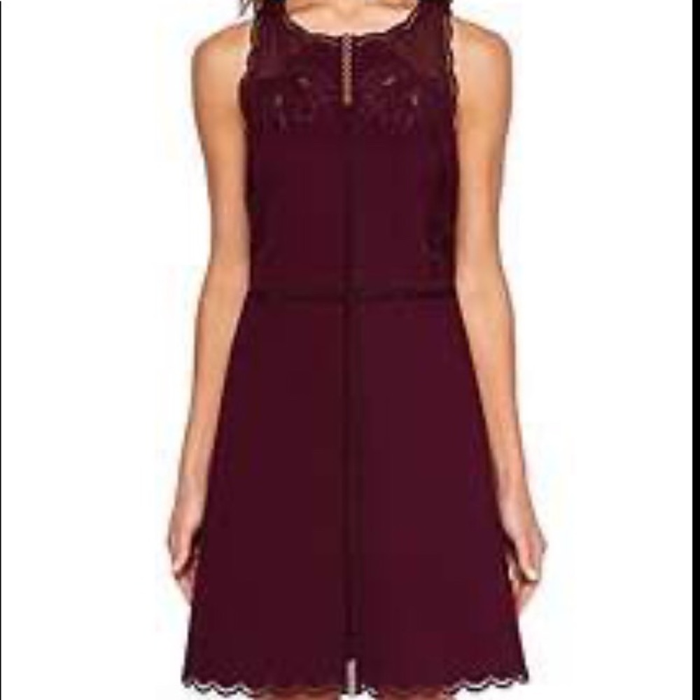 NWT Gorgeous Ted Baker Dress
